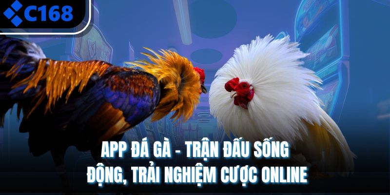 App Đá Gà – Trận Đấu Sống Động, Trải Nghiệm Cược Online