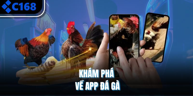 Khám phá về app đá gà