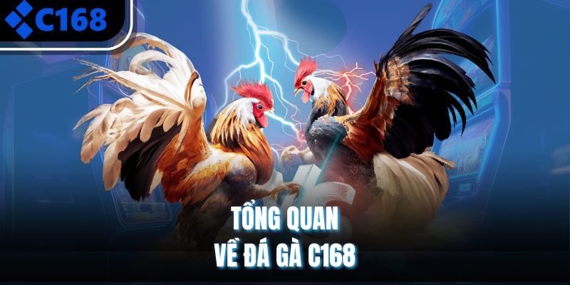 Tổng quan về đá gà C168 